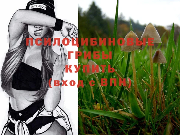 марки lsd Мегион